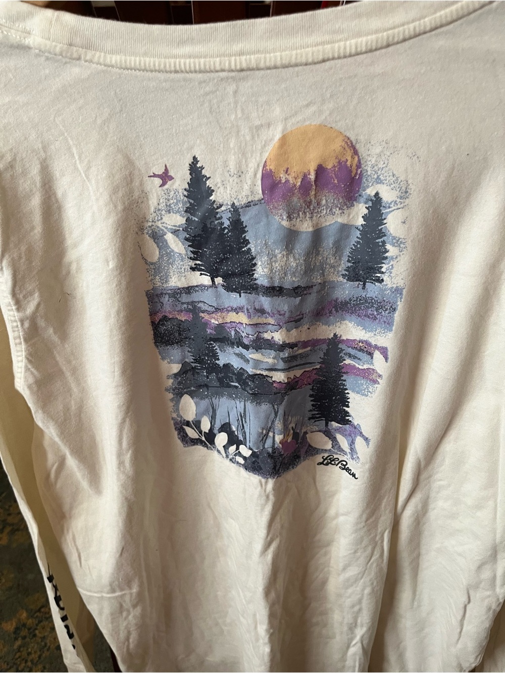 L.L Bean XL gently loved Cream Graphic Sunset Forest Tee - Picture 14 of 16
